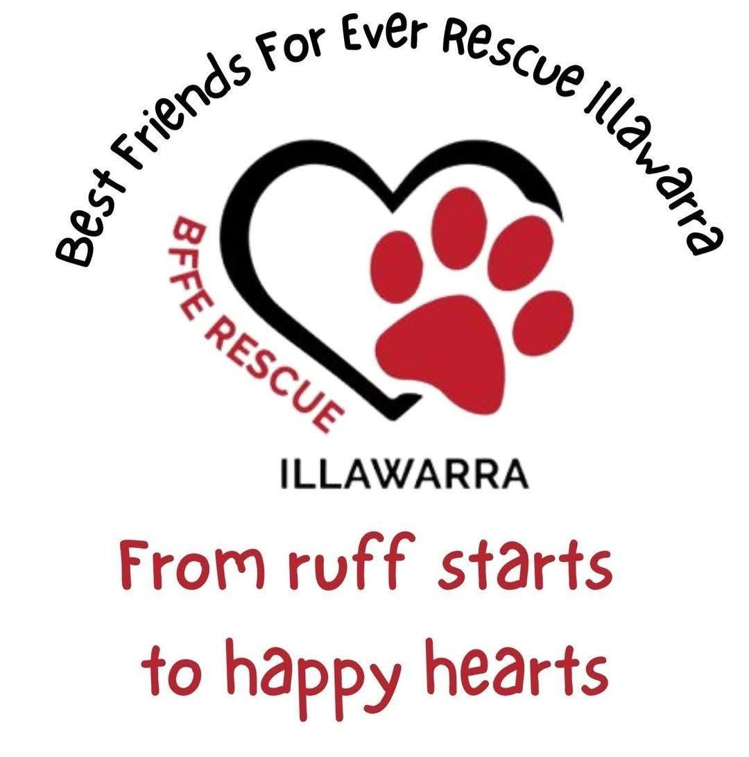 Best Friends For Ever Rescue Illawarra logo